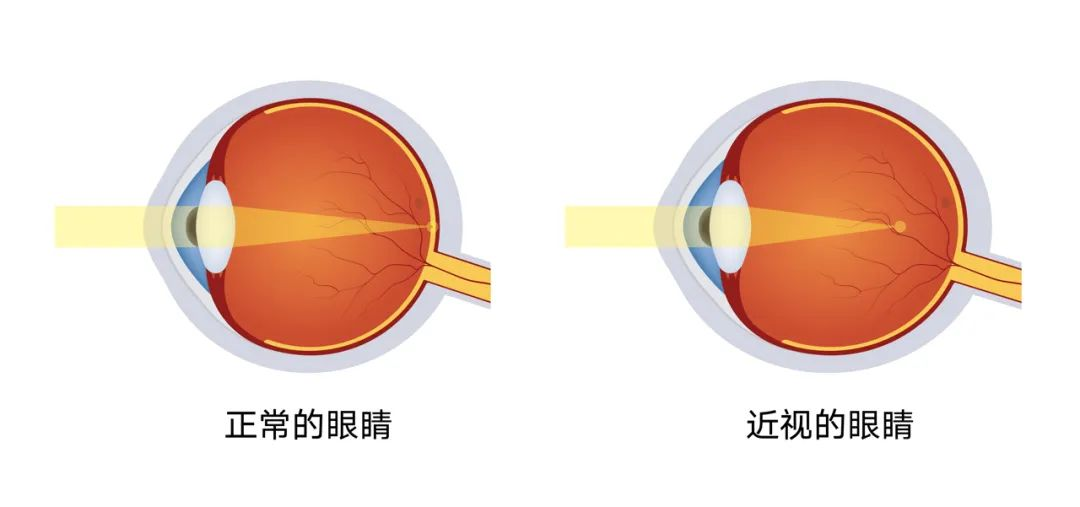 图片.png 图片.png